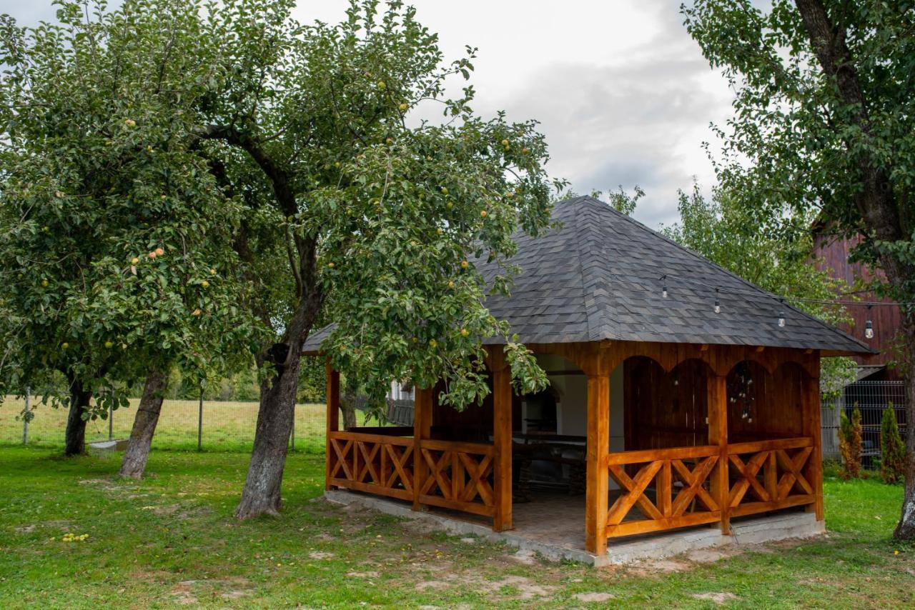 Casa Strabunicului Hotel Partestii de Sus  Exterior photo